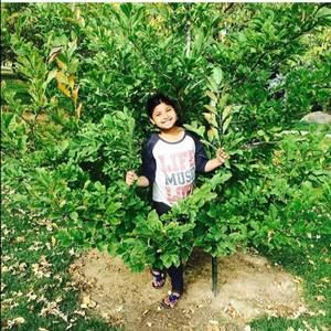 Meet your Posher, Nurbegum